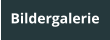 Bildergalerie